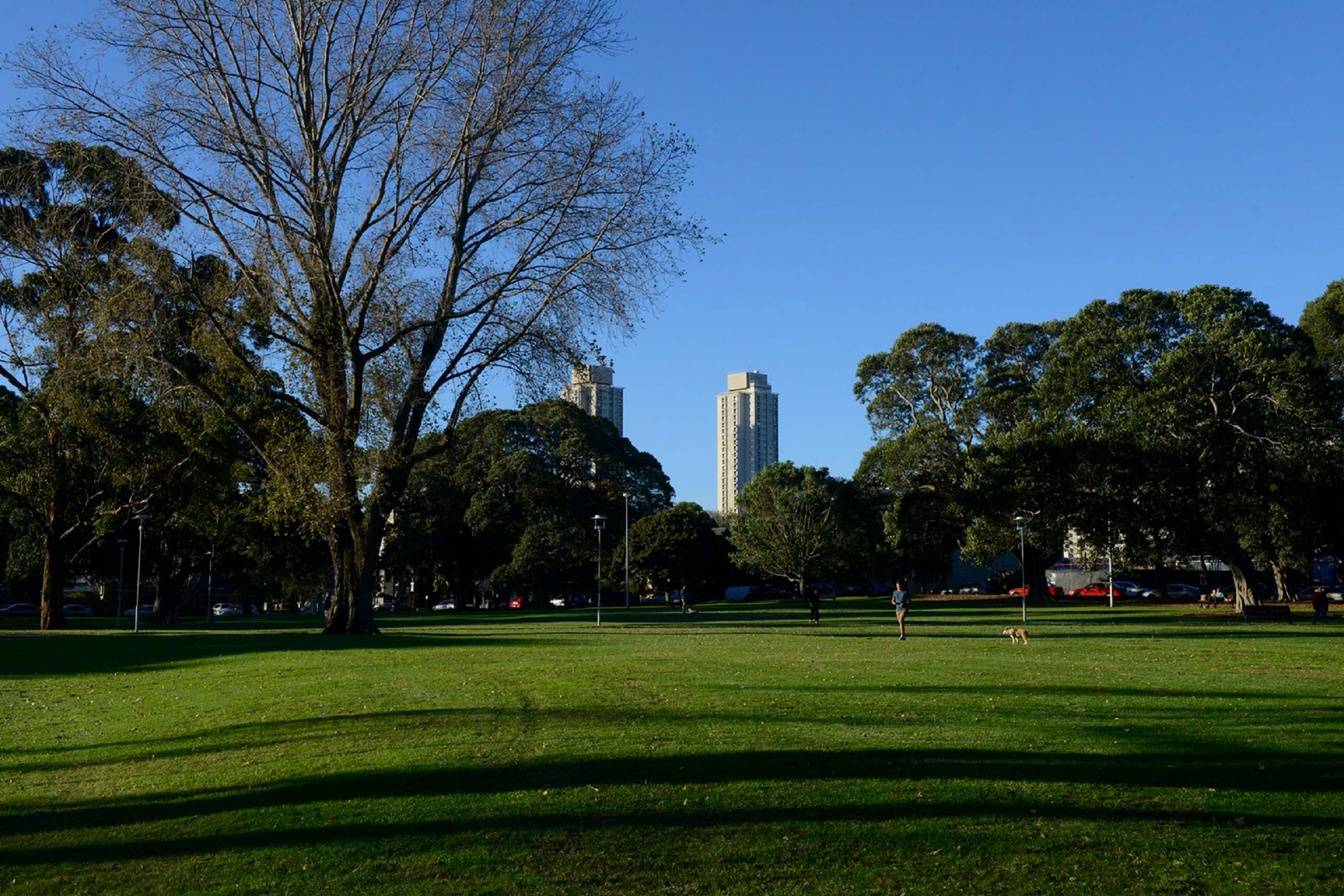 City of Sydney unveils plans to revitalise Alexandria Park
