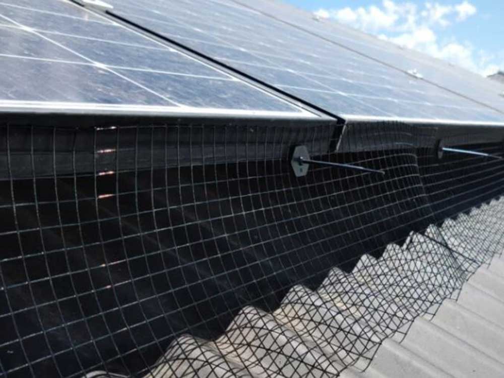 Are pest birds damaging your roof? | Architecture & Design