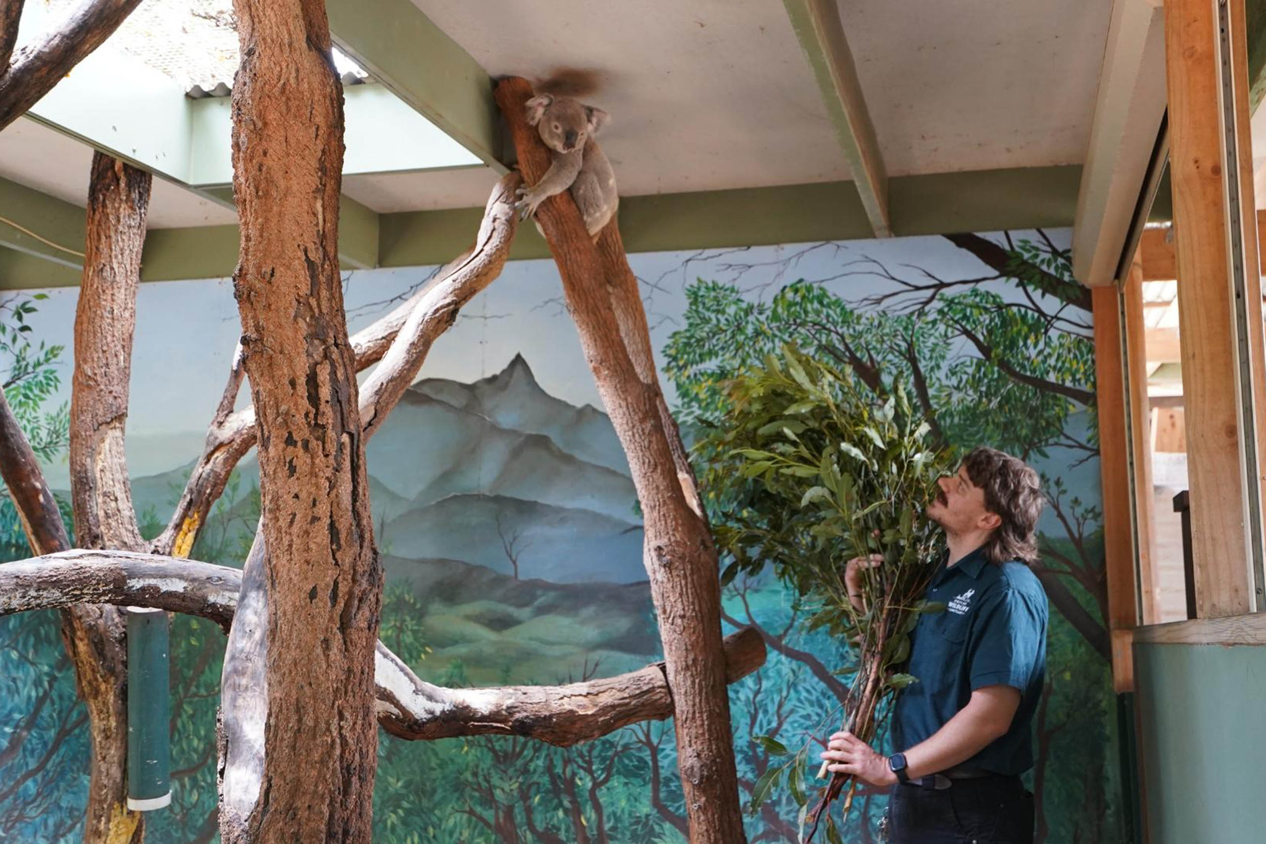 Wildlife Pros Physical Architecture Beyond A Shift in Physical Architecture