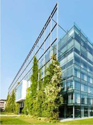 The importance of plant selection for green facades | Architecture & Design