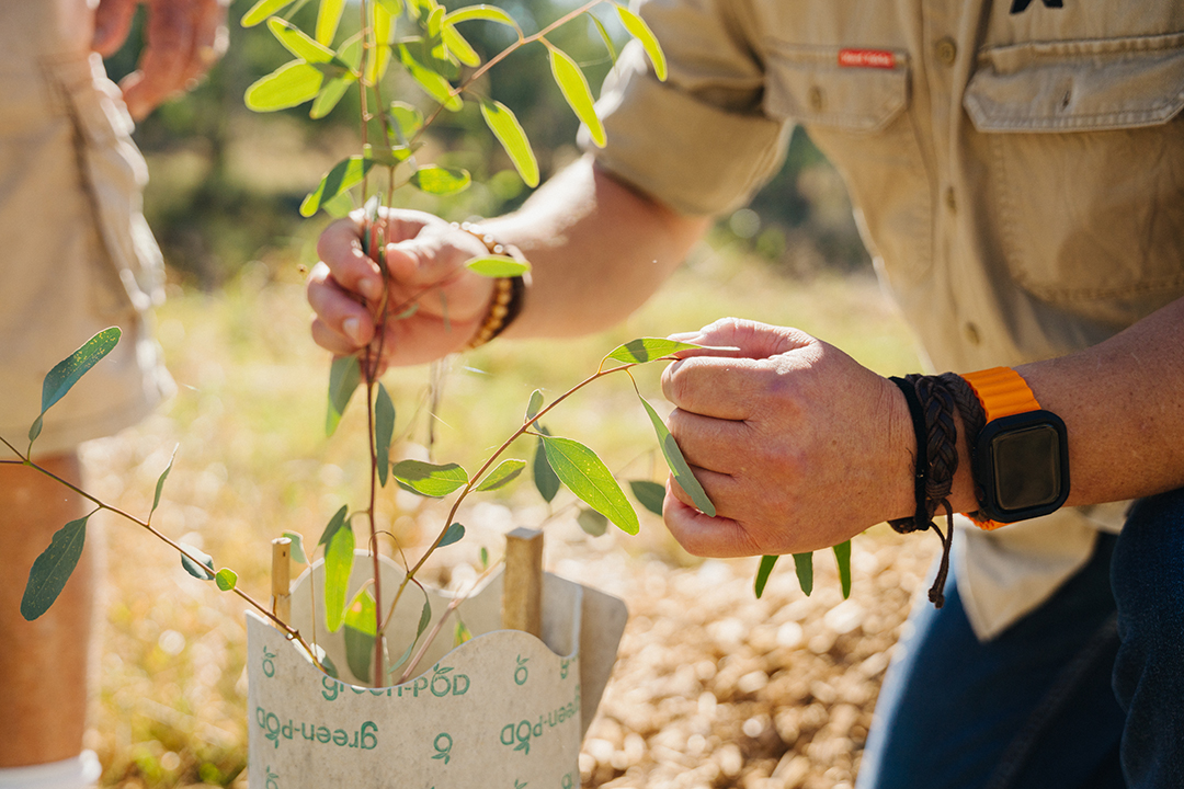 HEALTHY RIVERS PROJECT_11.jpg
