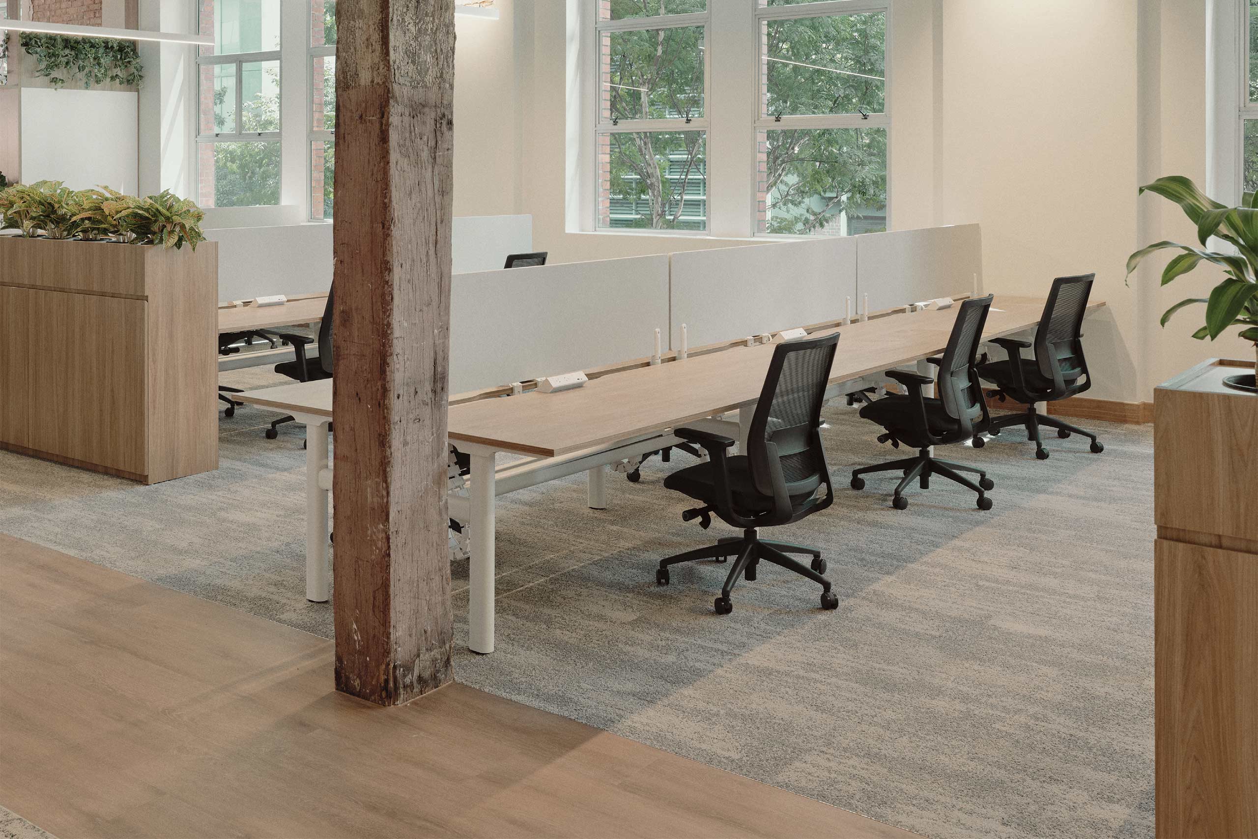 Adaptive Reuse Reimagined: Interface Floors Revitalise 93 Edward Street ...