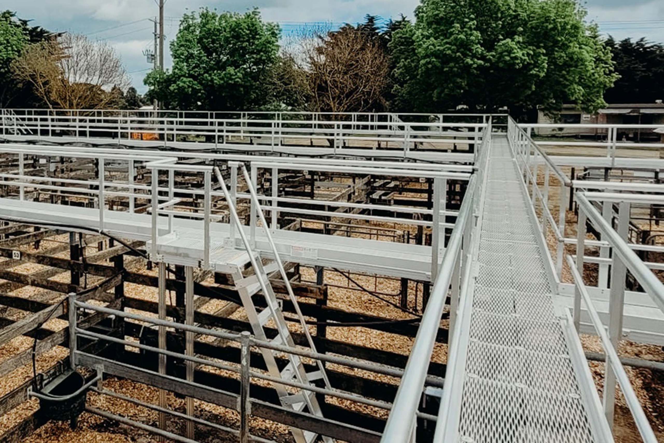 Kattsafe modular systems provide access and elevated views at cattle ...