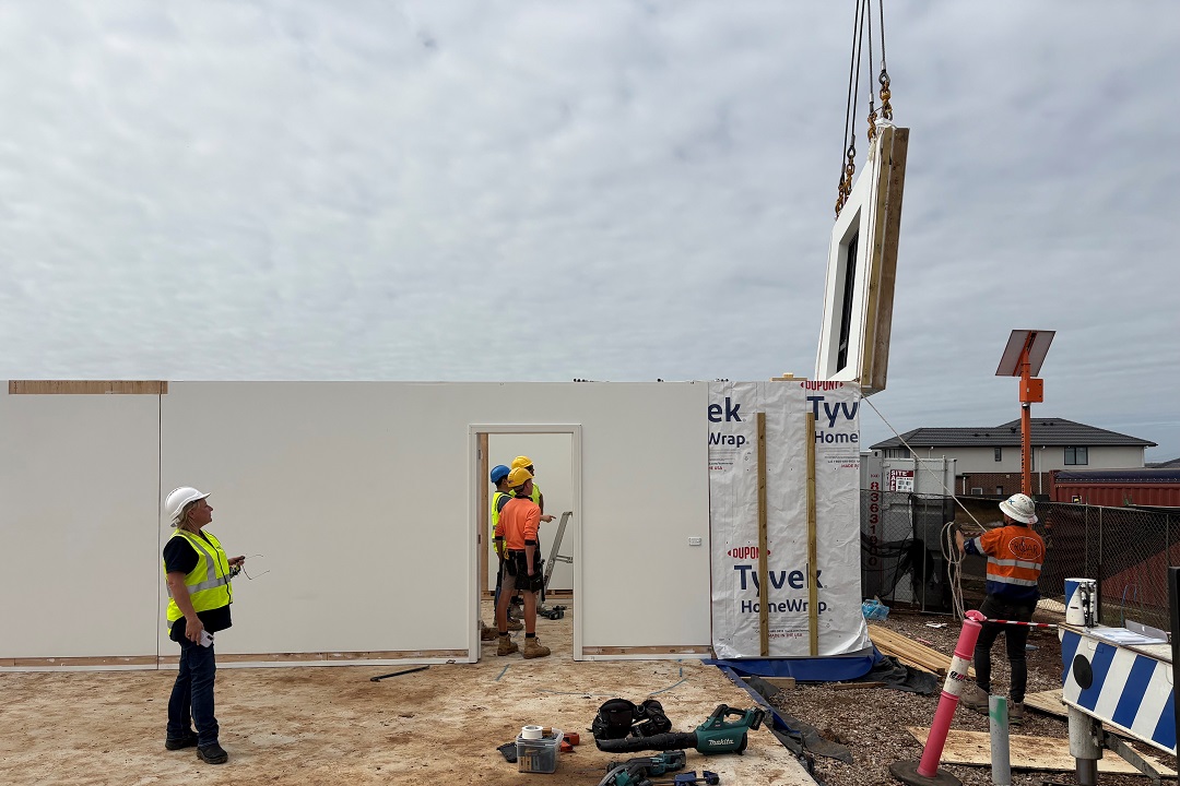 Wall installation.jpg