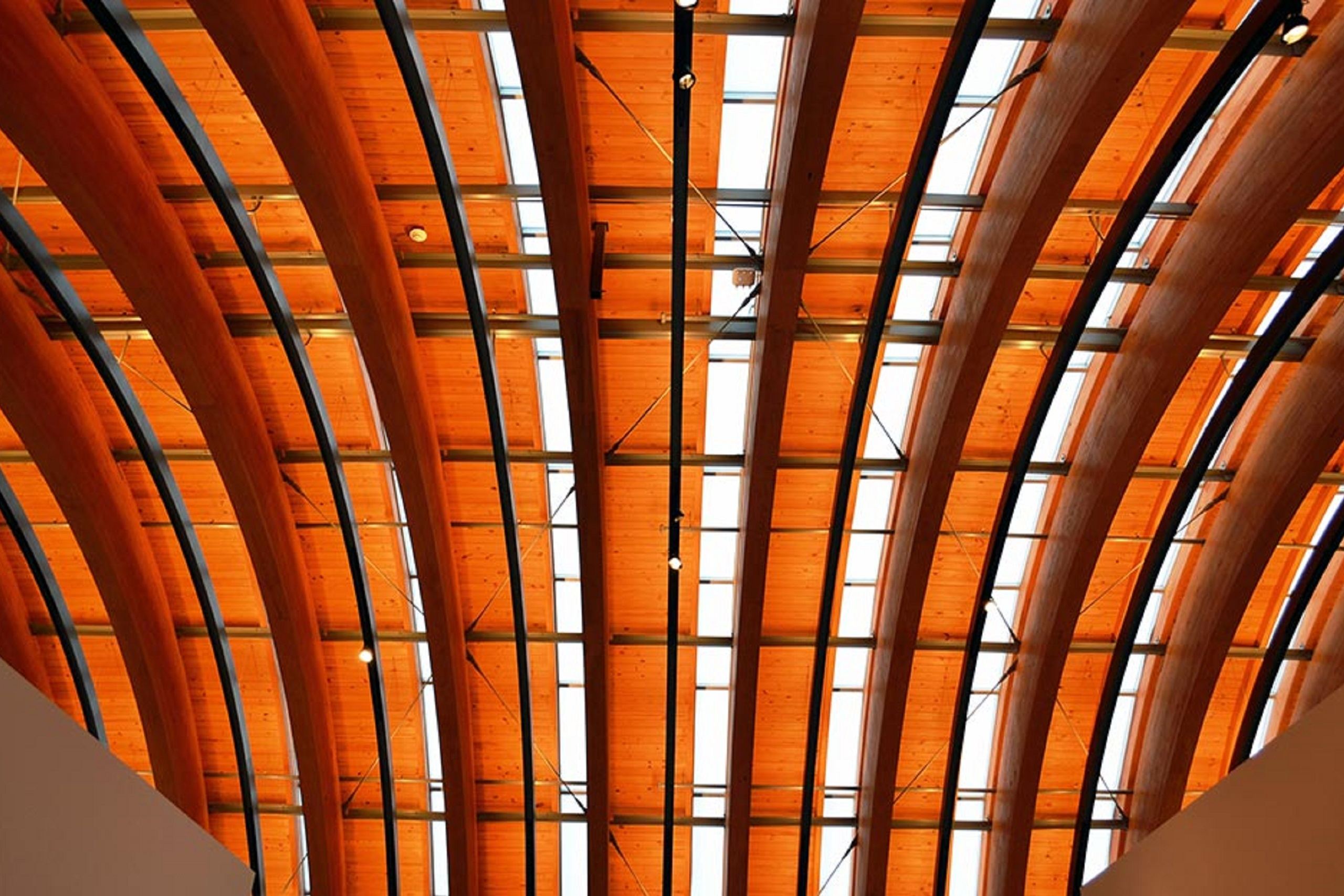 Tensile architecture helps achieve complex designs through structural ...